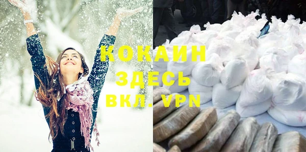 МДПВ Лиски