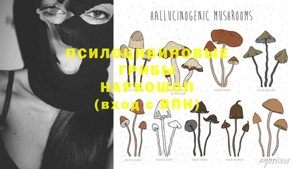 герыч Аркадак